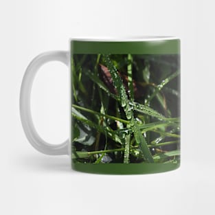 Raindrops on the Grass Mug